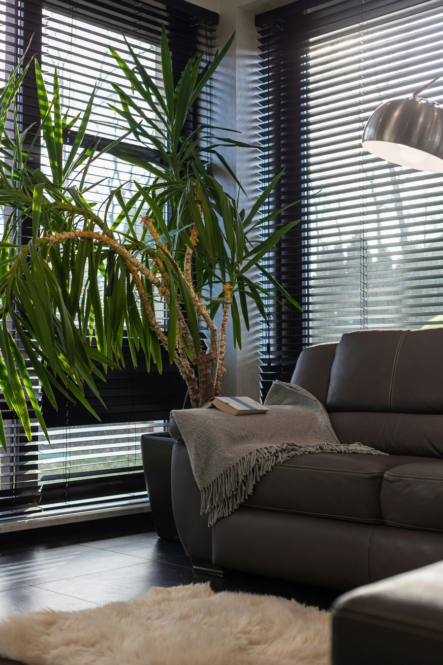 Motorised curtains and blinds integrated with a whole-home automation system