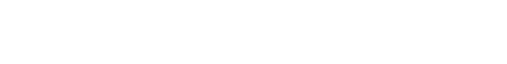 Eversolo logo