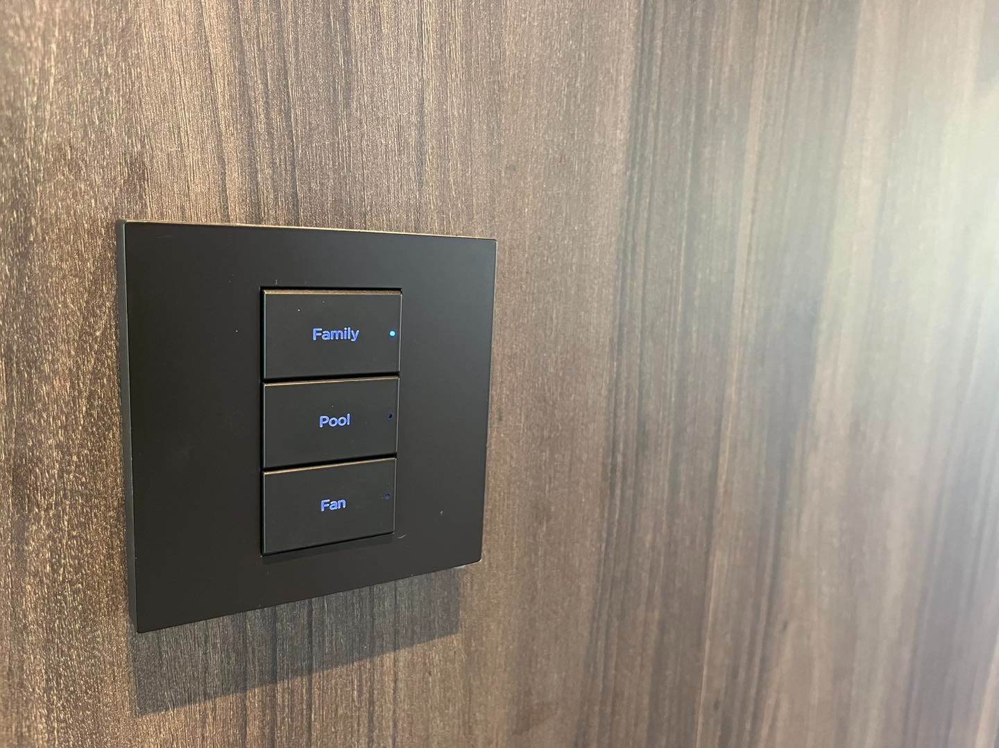 Minimalist architectural smart keypad flush mounted on dark wood veneer joinery