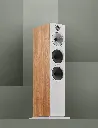 High--B&W - 603 S3 Oak Beauty 2.webp