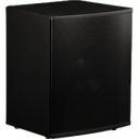 Triad InRoom Mini Sub with RackAmp 700 DSP (8-ohm woofer enclosure painted finish)
