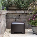 Episode Terrain Series 8" DVC Hardscape Subwoofer